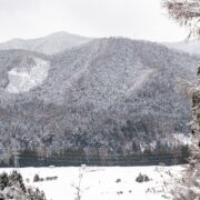 View across a valley near the mountains of Shiga Kogen in a snowstorm, Nagano Prefecture, Japan