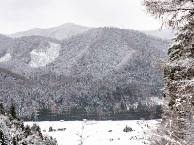 View across a valley near the mountains of Shiga Kogen in a snowstorm, Nagano Prefecture, Japan