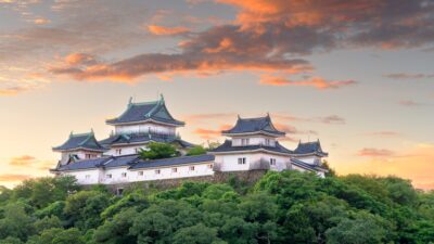 Wakayama, Japan with the hilltop Wakayama Castle