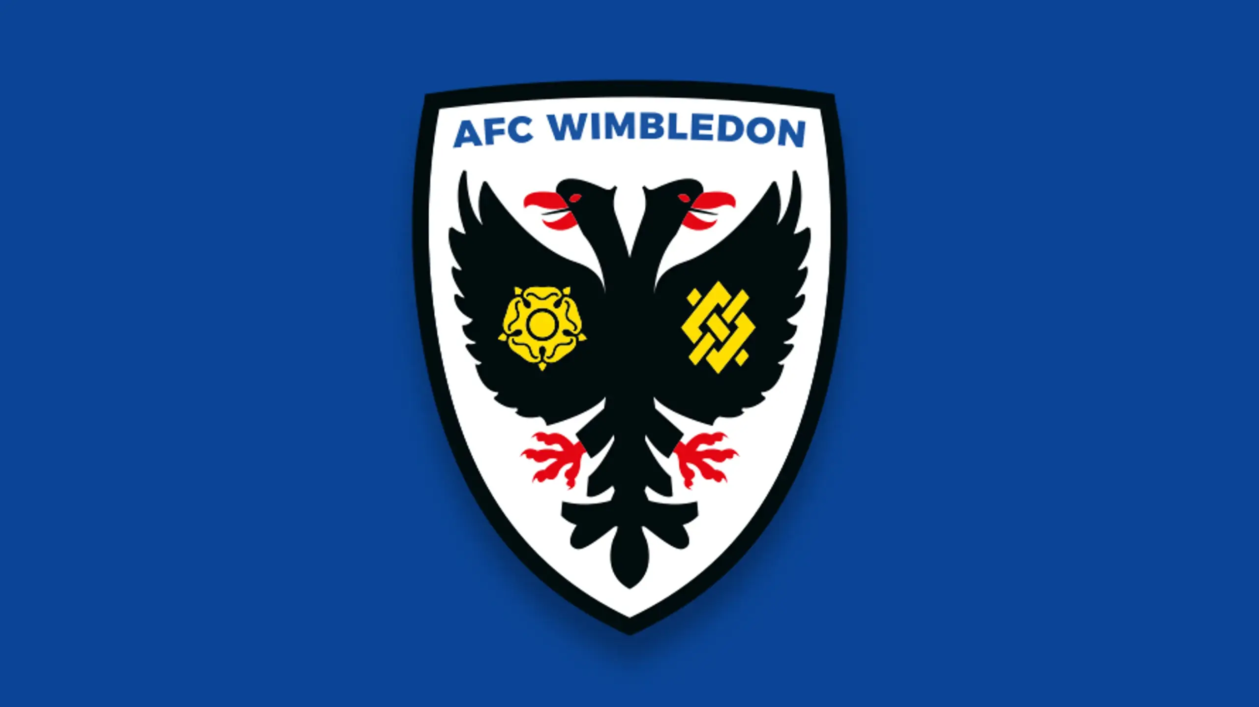 AFC Wimbledon FC History 2526