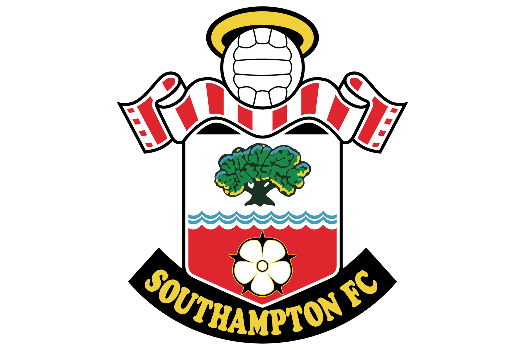 Southampton FC History 2526
